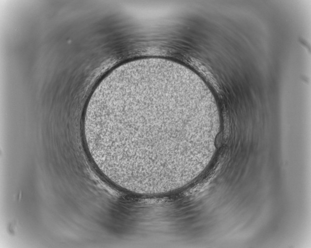 X0000094960625200712201201