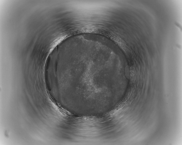 X0000094960626200712201201