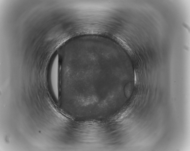 X0000094960627200712201201