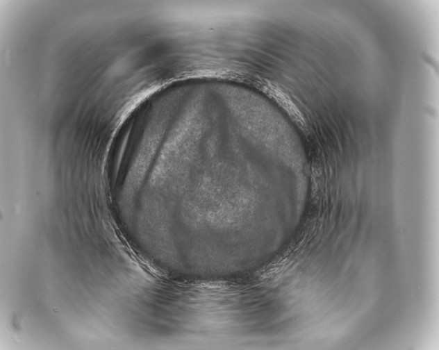 X0000094960628200712201201