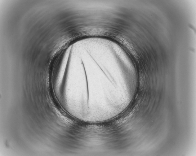 X0000094960629200712201201