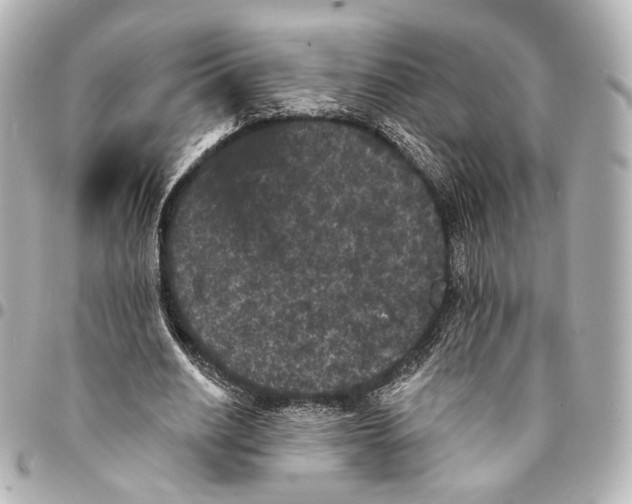 X0000094960630200712201201