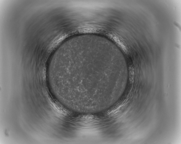 X0000094960631200712201201