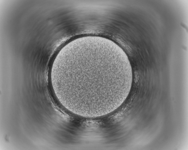 X0000094960632200712201201