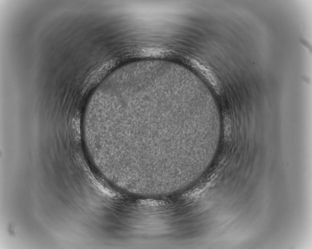 X0000094960633200712201201