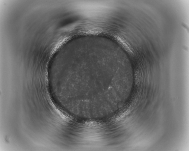 X0000094960634200712201201