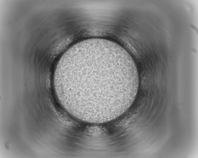 X0000094960635200712201201