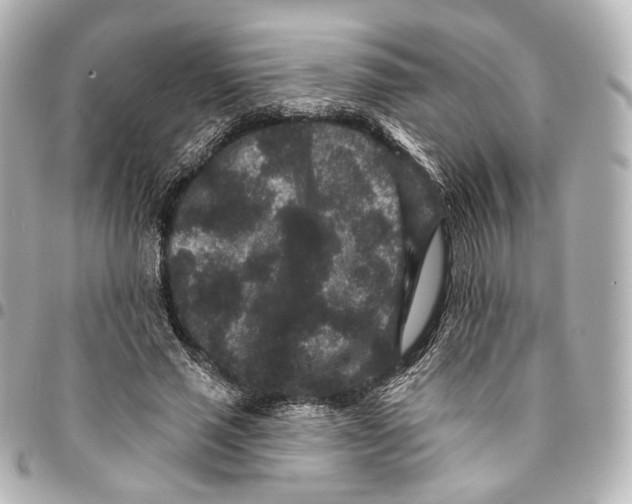 X0000094960637200712201201