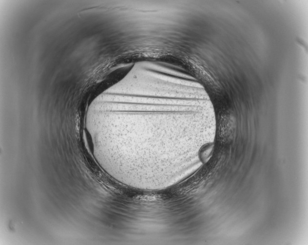 X0000094960639200712201201