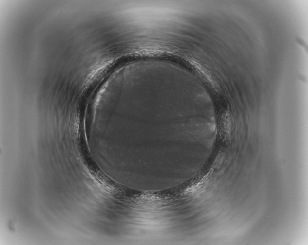 X0000094960640200712201201