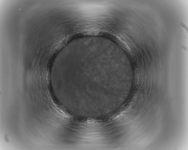 X0000094960641200712201201