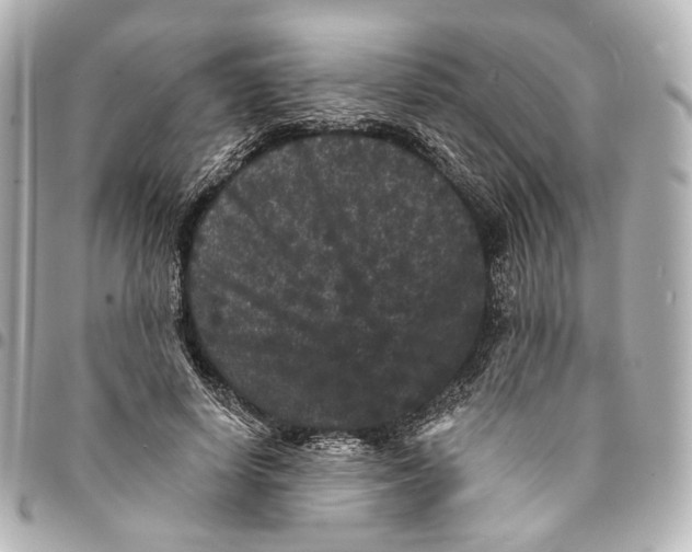 X0000094960642200712201201