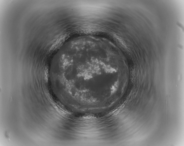 X0000094960644200712201201