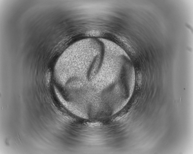 X0000094960645200712201201