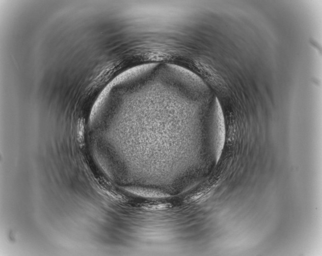 X0000094960646200712201201