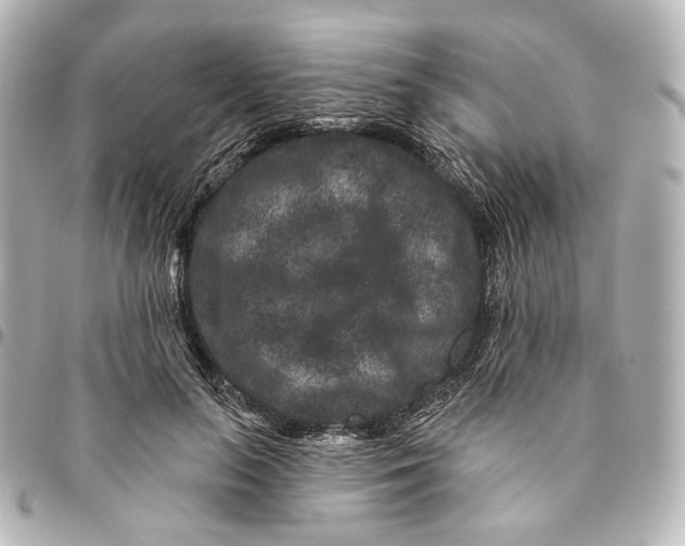 X0000094960647200712201201