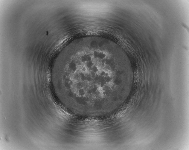 X0000094960648200712201201