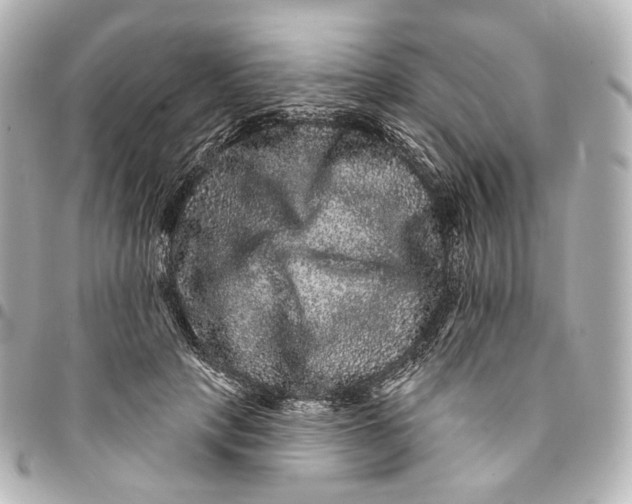 X0000094960649200712201201