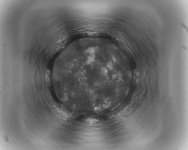 X0000094960650200712201201