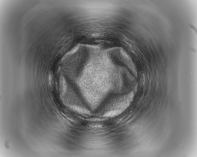 X0000094960651200712201201