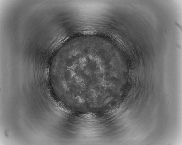 X0000094960652200712201201