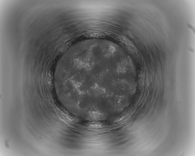 X0000094960653200712201201