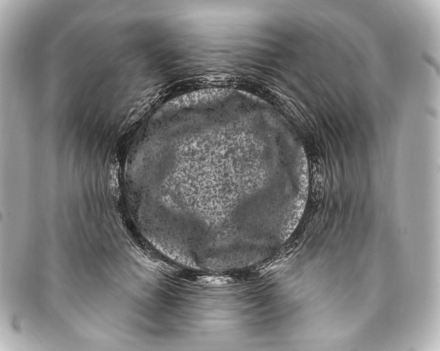 X0000094960654200712201201