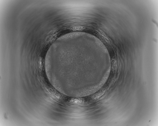 X0000094960655200712201202