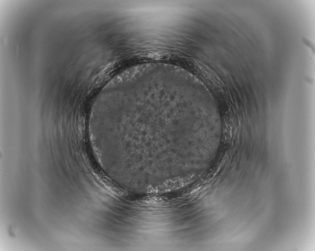 X0000094960656200712201202