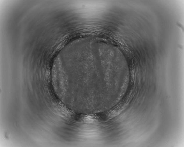 X0000094960657200712201202