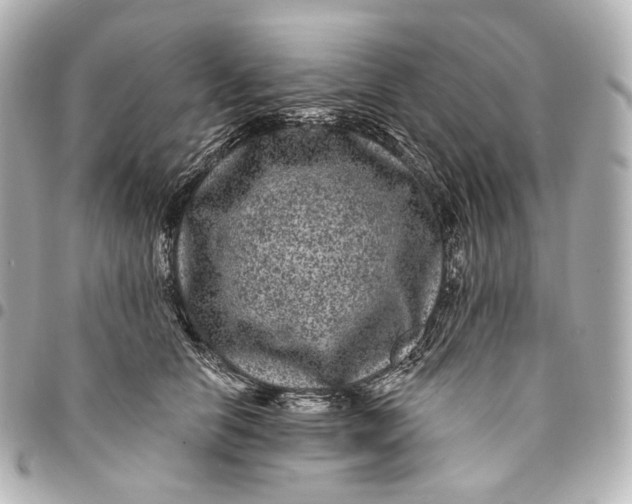 X0000094960658200712201202