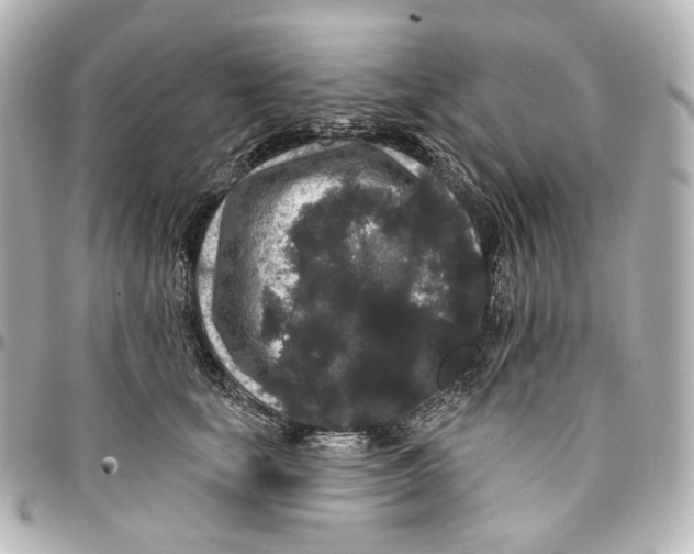 X0000094960659200712201202