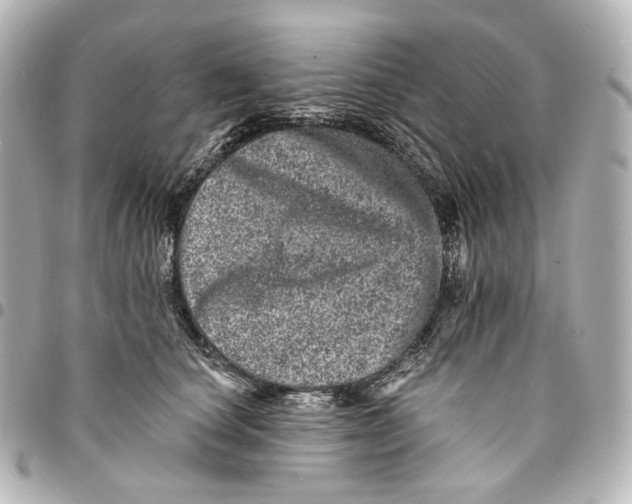 X0000094960660200712201202