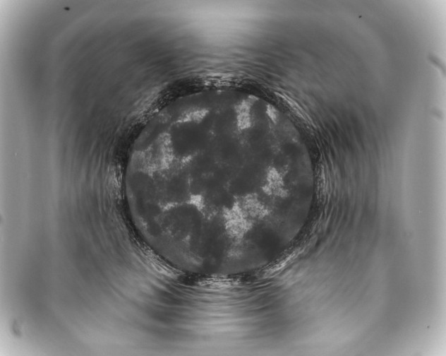 X0000094960661200712201202