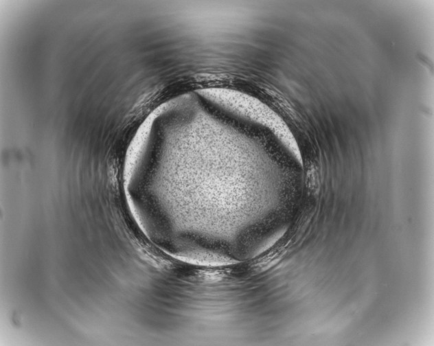 X0000094960662200712201202