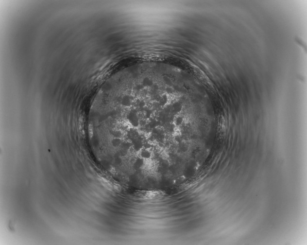 X0000094960663200712201202