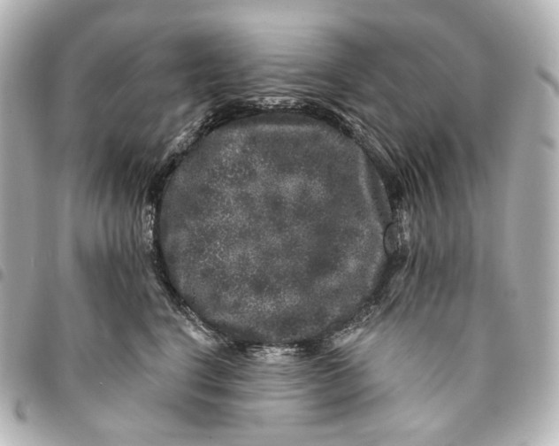 X0000094960664200712201202