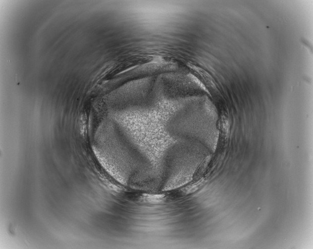 X0000094960665200712201202