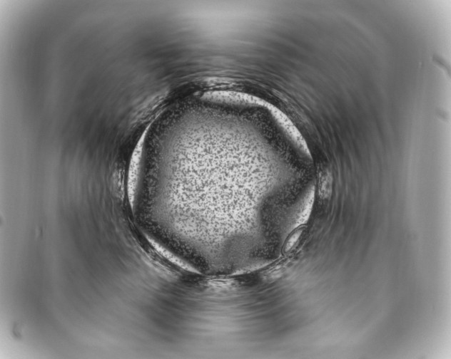 X0000094960666200712201202