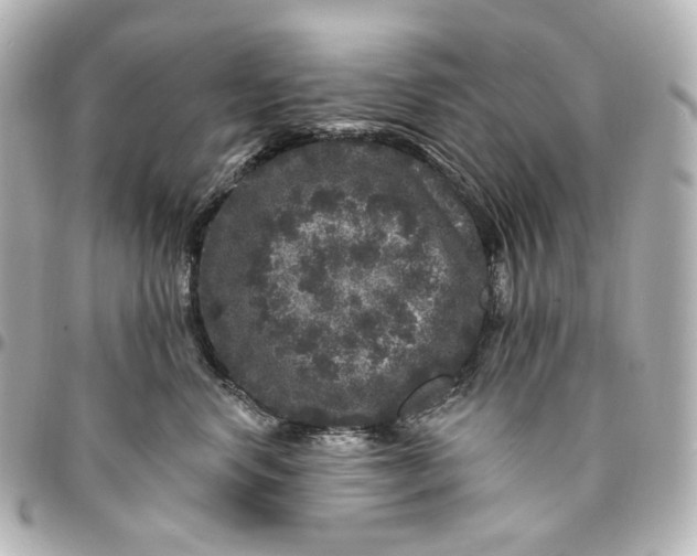 X0000094960668200712201202