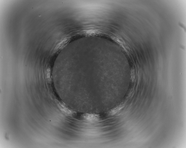 X0000094960670200712201202