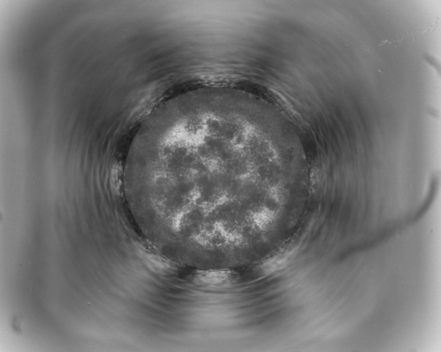 X0000094960671200712201202