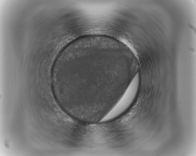 X0000094960673200712201201