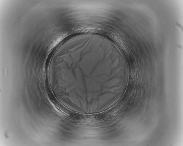 X0000094960674200712201201