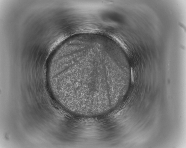 X0000094960675200712201201