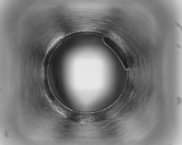 X0000094960676200712201201