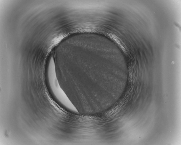 X0000094960677200712201201