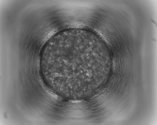 X0000094960679200712201201