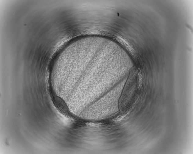 X0000094960680200712201201