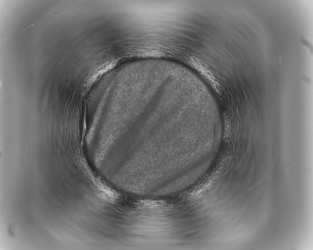 X0000094960681200712201201